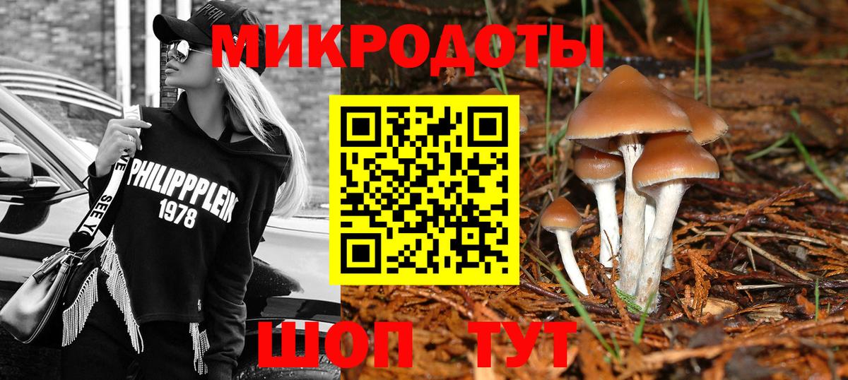 NBOMe Ярославль