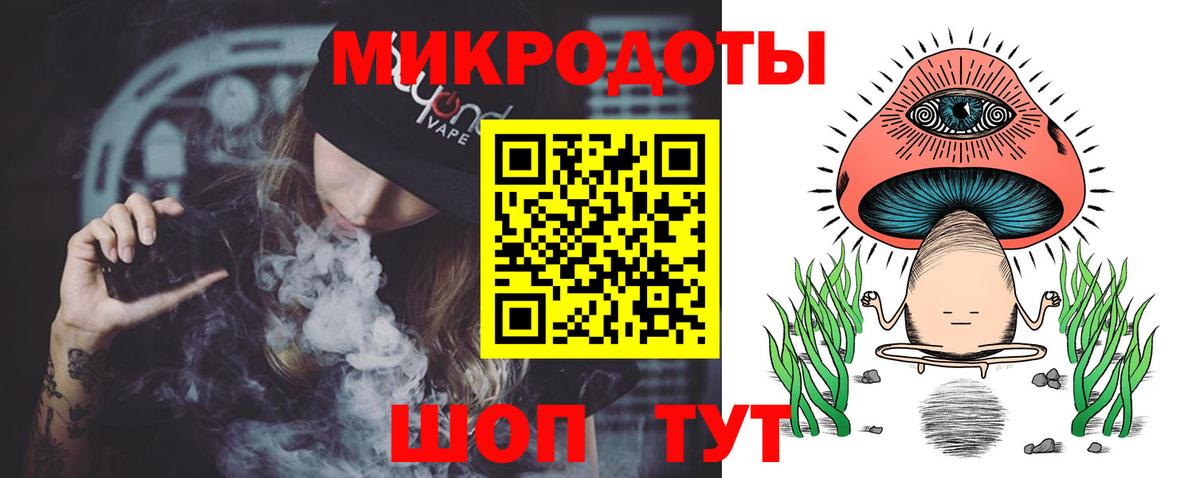 Псилоцибиновые грибы Psilocybine cubensis Ярославль